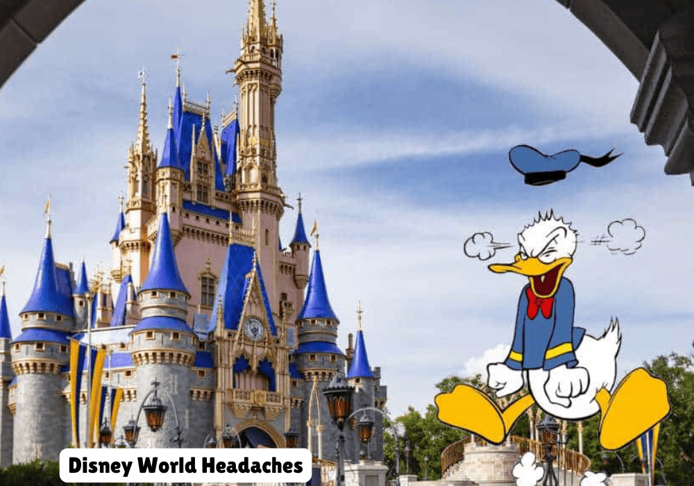 Disney World Headaches